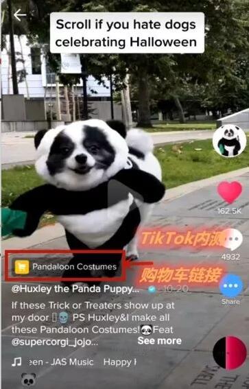 2020跨境黑馬：TikTok如何暴力引流、帶貨、測評