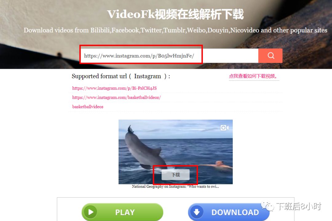 如何下載Instagram圖片和視頻，推薦常用的10個免費工具
