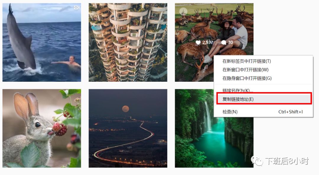 如何下載Instagram圖片和視頻，推薦常用的10個免費工具